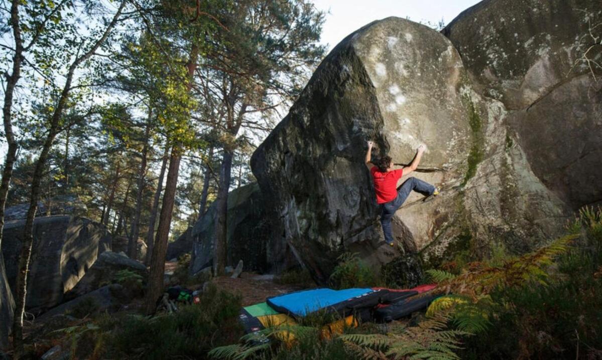 Ferienwohnung Cocon Napoleon Calme Fontainebleau Exterior foto