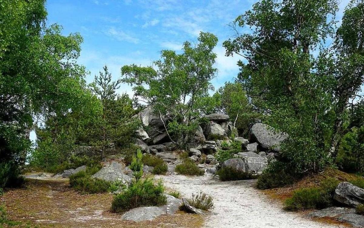Ferienwohnung Cocon Napoleon Calme Fontainebleau Exterior foto
